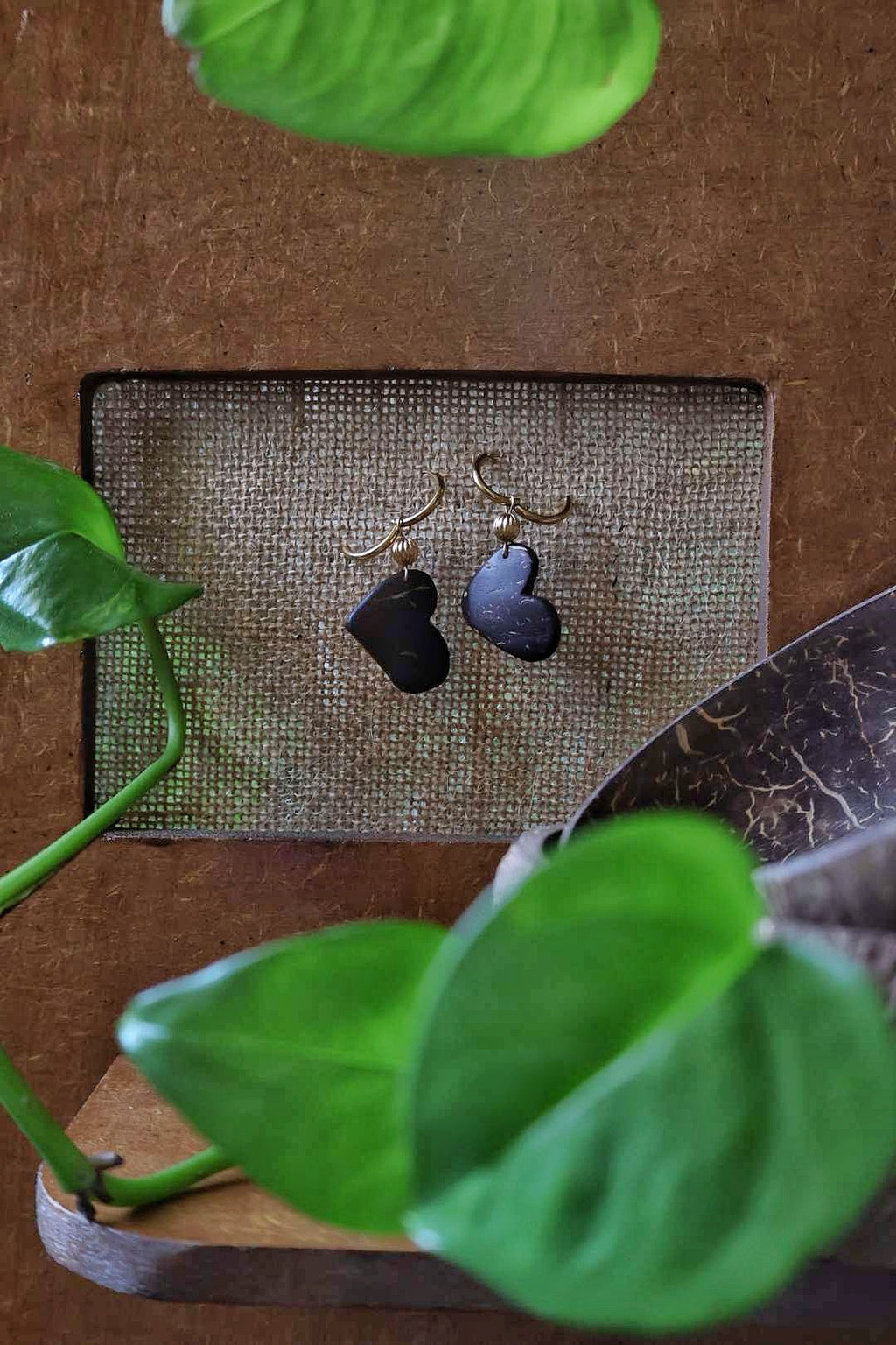 Boucles d'oreilles MONCOEUR en noix de coco