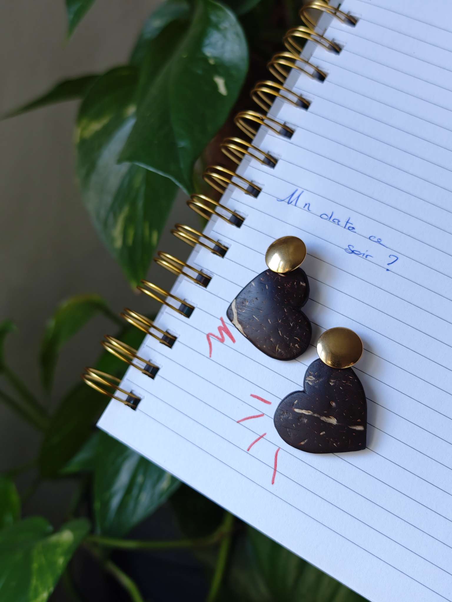 Boucles d'oreilles MONCOEUR en noix de coco