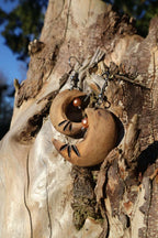 Boucles d'oreilles naturelles - HURA