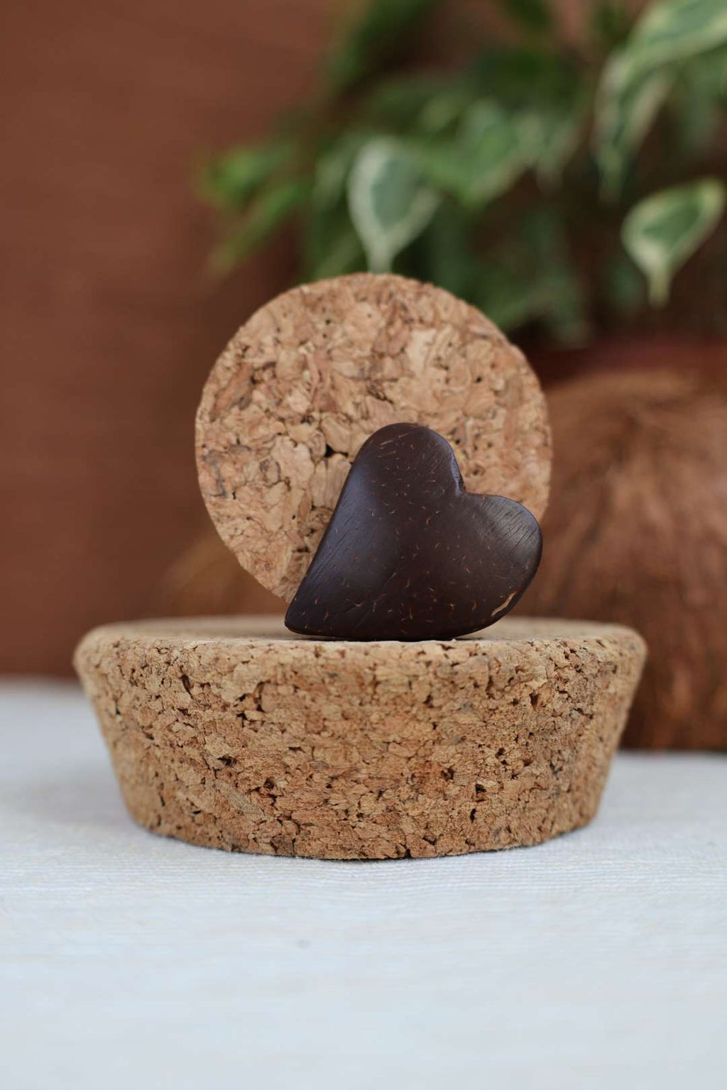 Coeur noix de coco 1