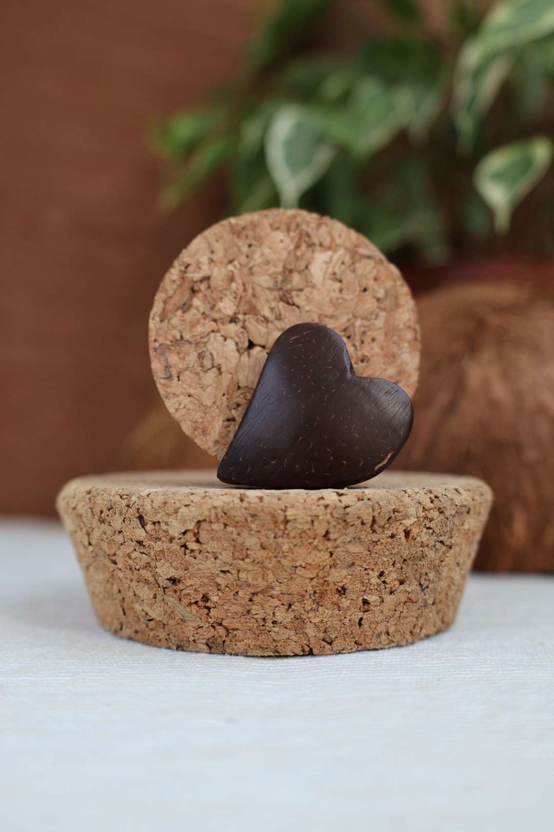 Coeur noix de coco 1