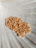 Boucles d'oreilles longues - Corail
