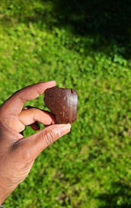 Broche naturelle en noix de coco - GUYANE