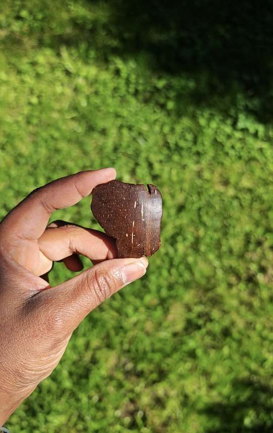 Broche naturelle en noix de coco - GUYANE