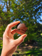 Broche naturelle en noix de coco - AFRIQUE