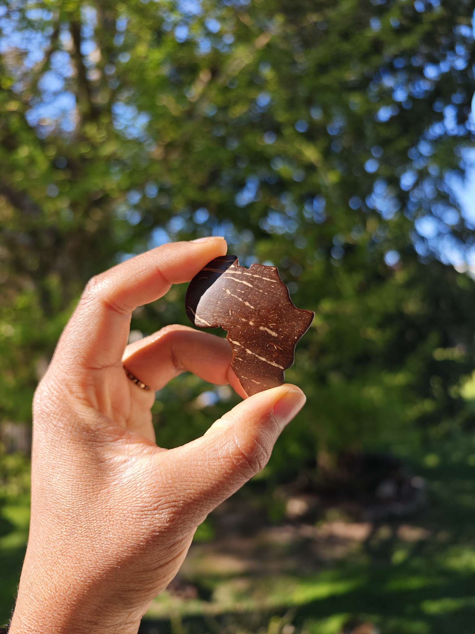 Broche naturelle en noix de coco - AFRIQUE